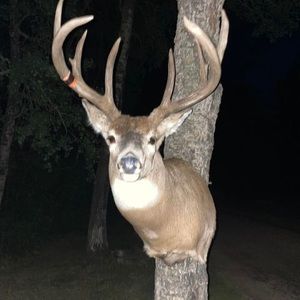 Meet your Posher, Aidan